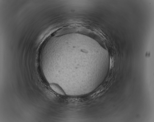 X0000088860291200706291524