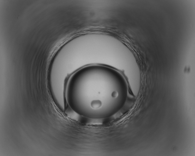 X0000088860293200706291524