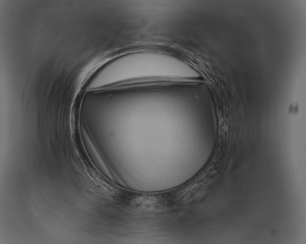 X0000088860294200706291524