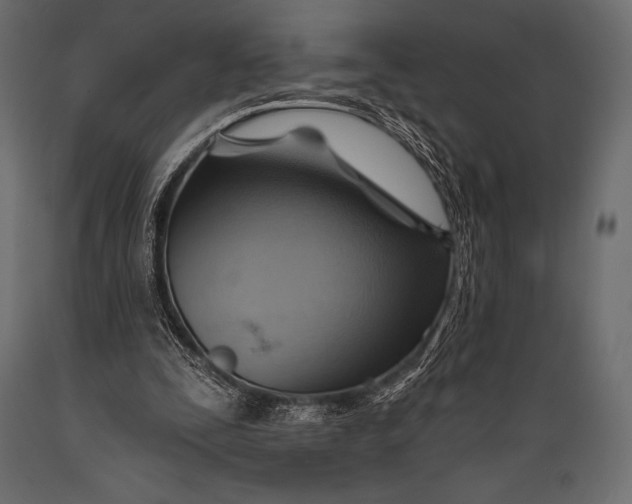 X0000088860295200706291524