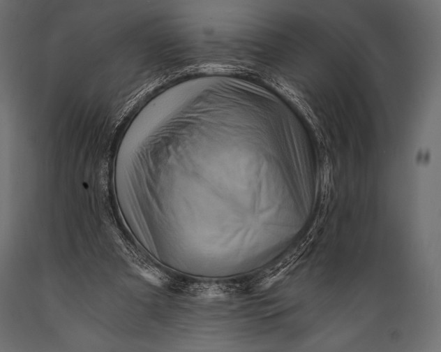 X0000088860297200706291524