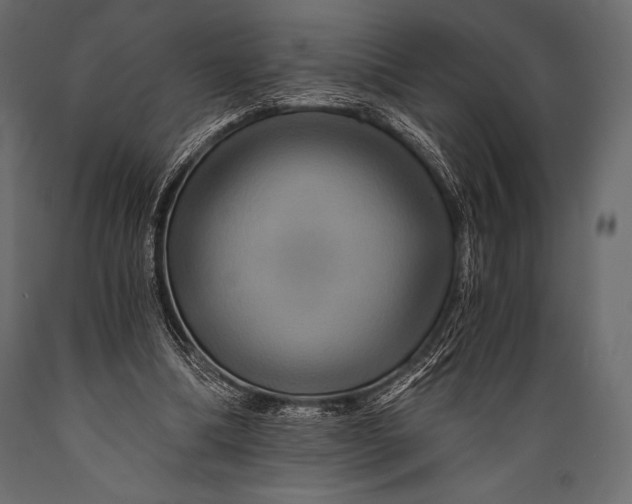 X0000088860298200706291524