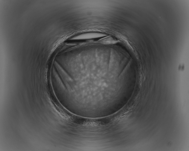 X0000088860299200706291524