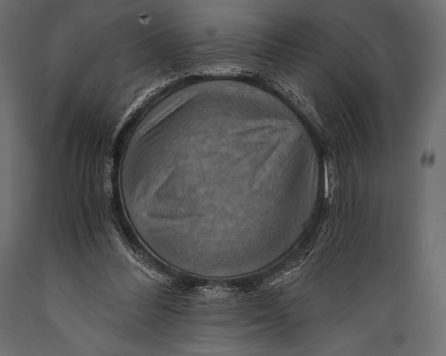 X0000088860300200706291524