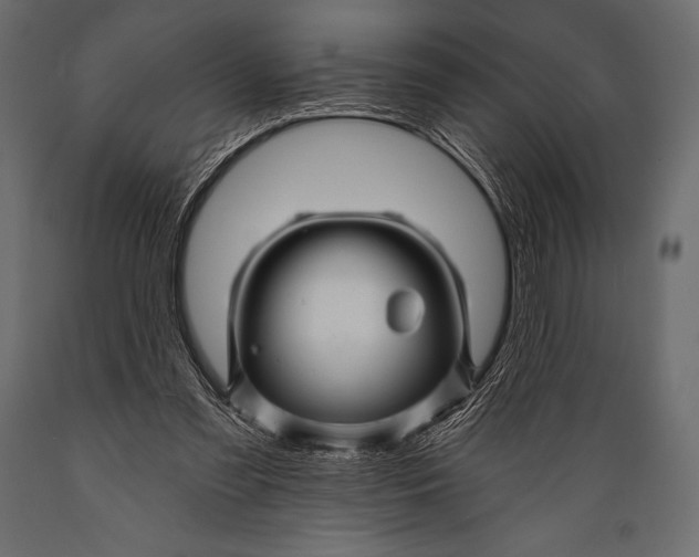 X0000088860301200706291524