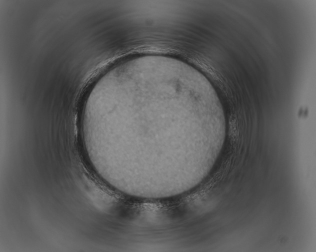 X0000088860302200706291524