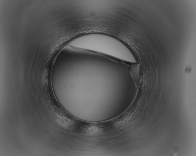 X0000088860303200706291524