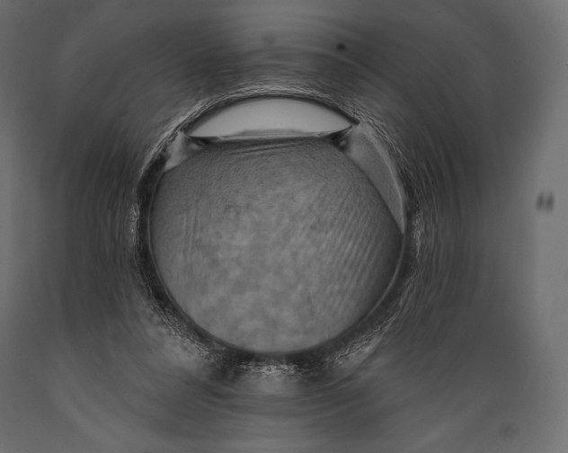 X0000088860304200706291524