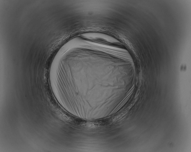 X0000088860305200706291524