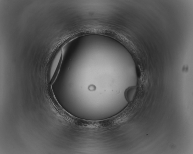 X0000088860306200706291524