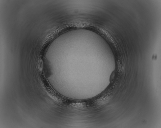 X0000088860307200706291524