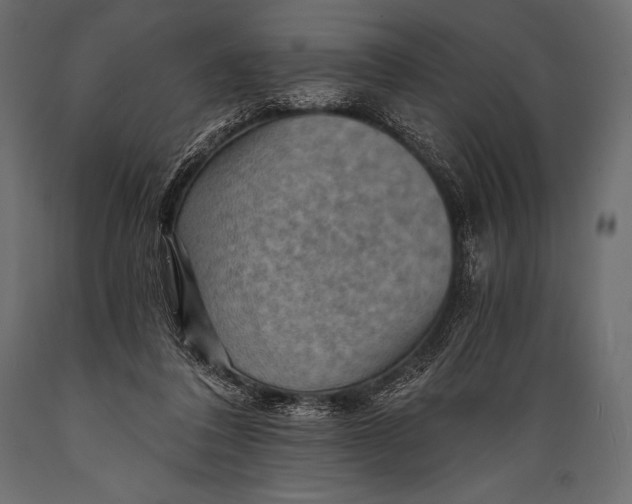 X0000088860308200706291524