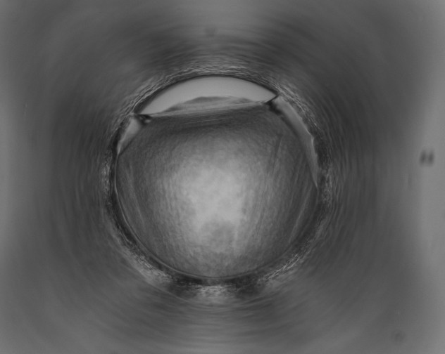 X0000088860309200706291523