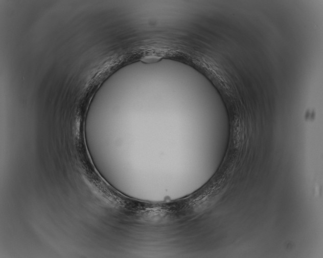 X0000088860310200706291523