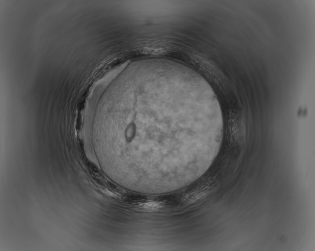 X0000088860312200706291523