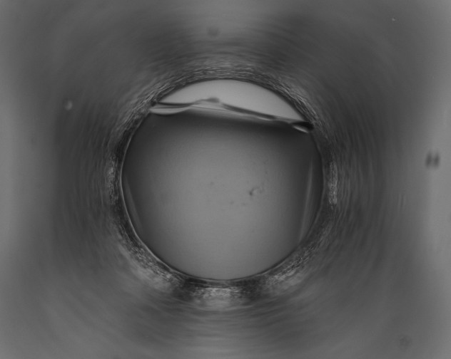 X0000088860314200706291523