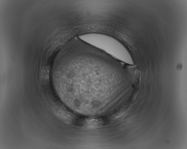 X0000088860315200706291523