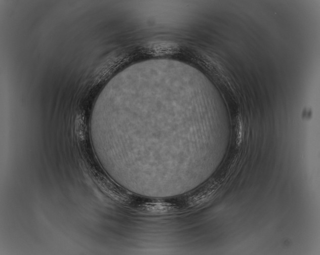 X0000088860316200706291523