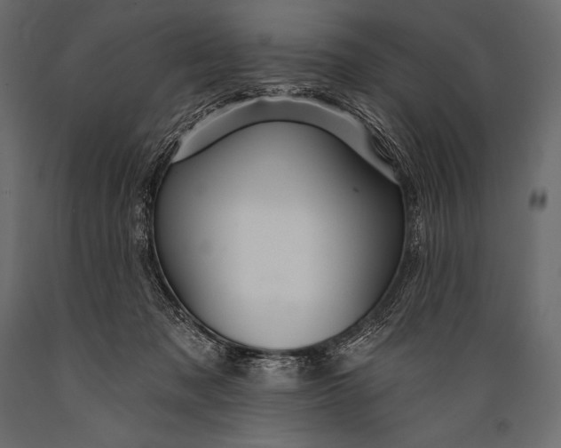 X0000088860317200706291523