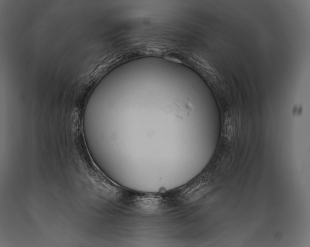 X0000088860318200706291523