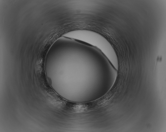 X0000088860319200706291523