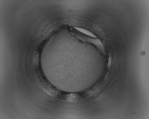 X0000088860320200706291523