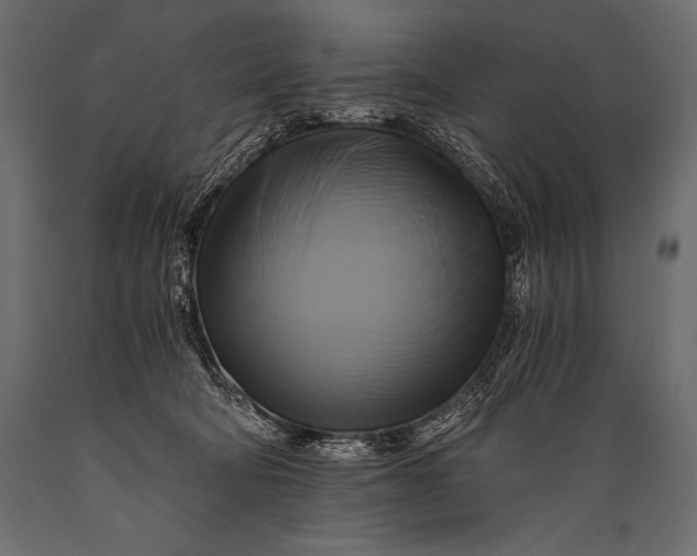 X0000088860322200706291523