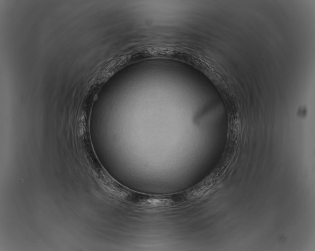 X0000088860323200706291523