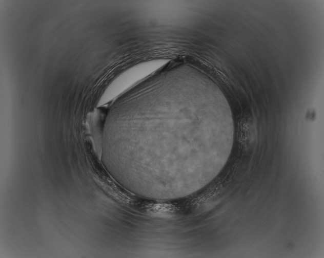 X0000088860324200706291523