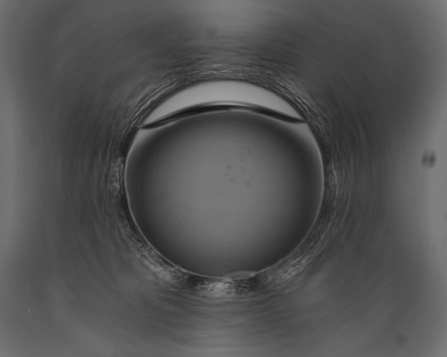 X0000088860325200706291523