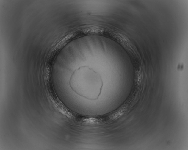 X0000088860326200706291523