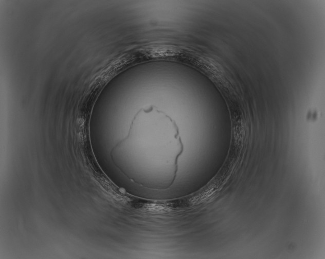 X0000088860327200706291523