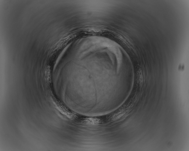 X0000088860328200706291523