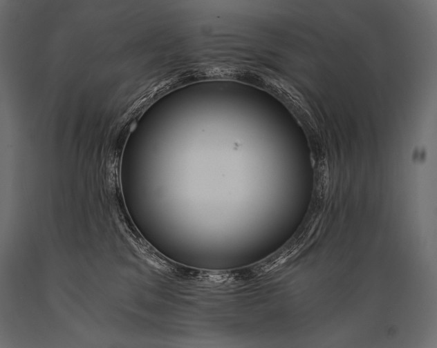 X0000088860329200706291523