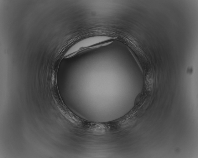 X0000088860330200706291523