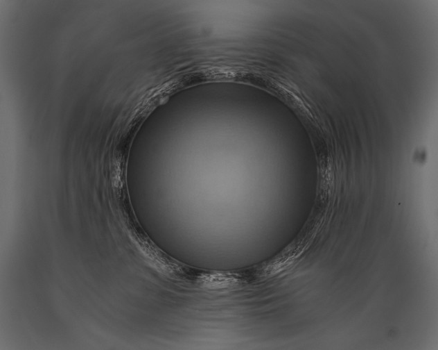 X0000088860331200706291523