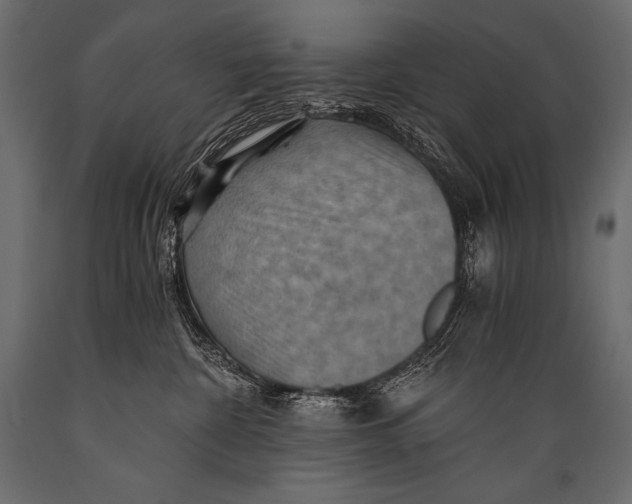 X0000088860332200706291523