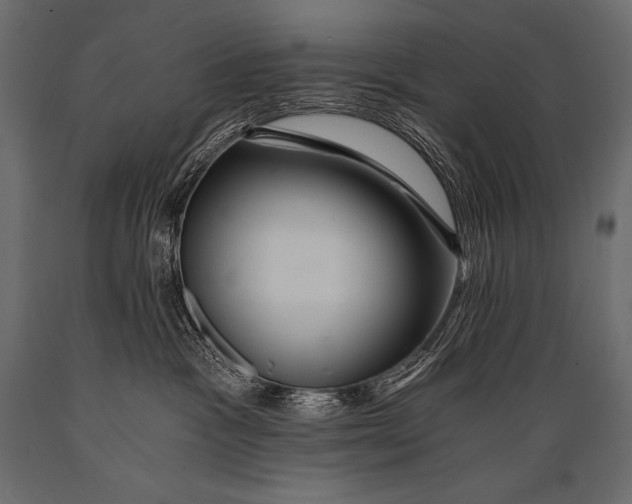 X0000088860333200706291523