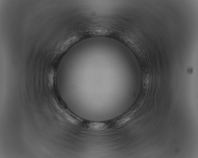 X0000088860334200706291523