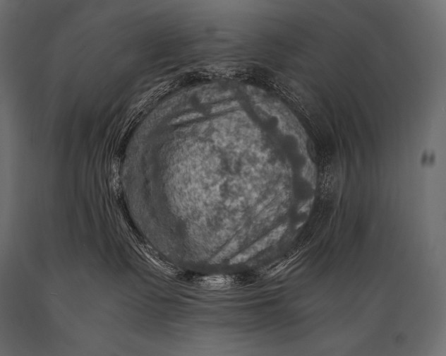 X0000088860335200706291523