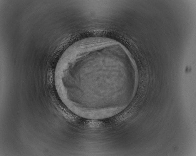 X0000088860336200706291523