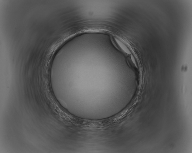 X0000088860337200706291522