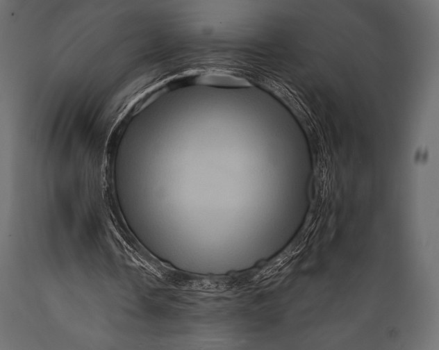 X0000088860338200706291522