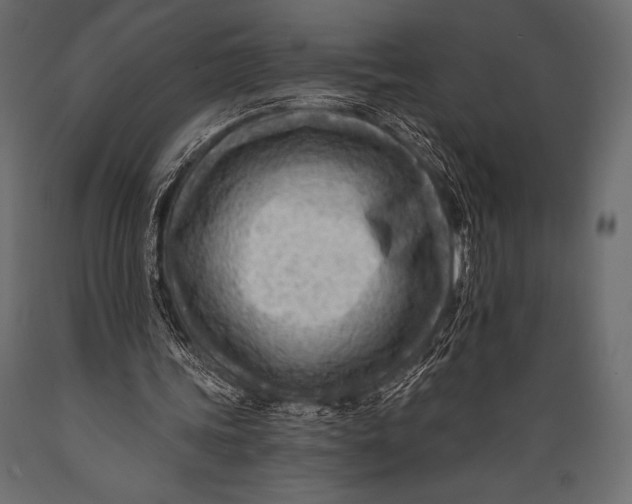 X0000088860339200706291522