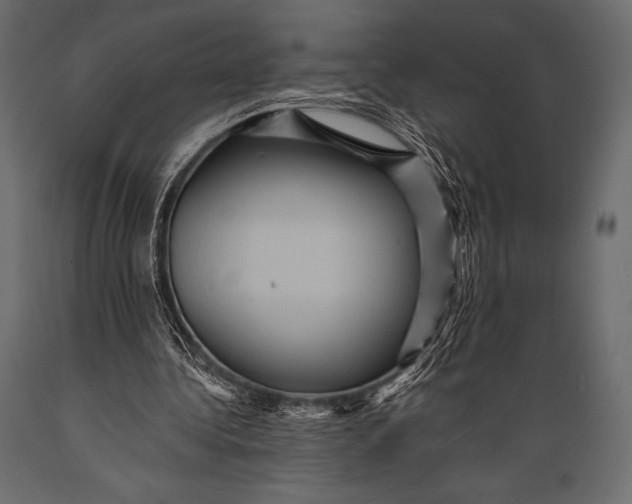 X0000088860340200706291522