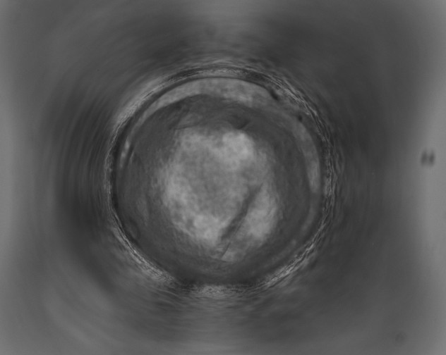 X0000088860341200706291522