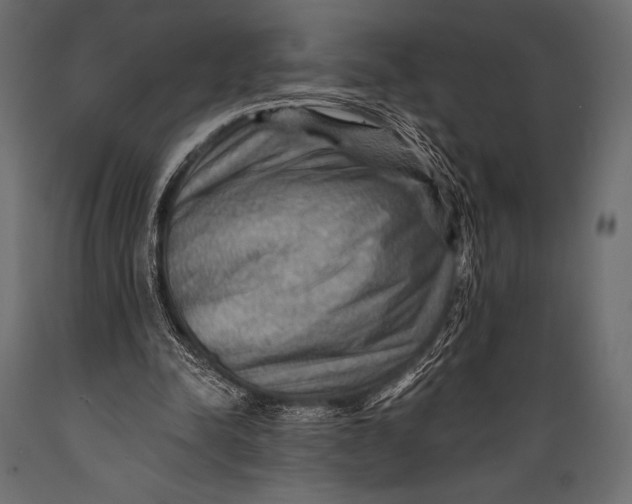 X0000088860342200706291523