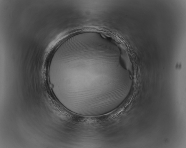 X0000088860343200706291523