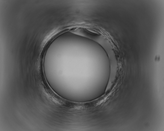 X0000088860344200706291523