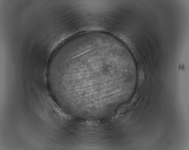 X0000088860345200706291523